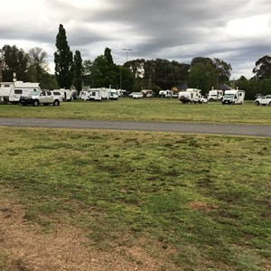 Armidale Showground