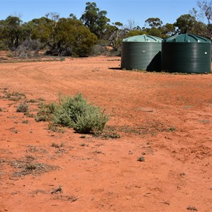 Mornington Dam Track Junction 