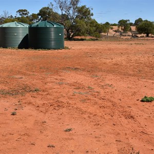 Mornington Dam Track Junction 