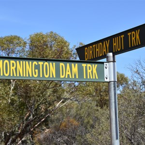 Mornington Dam Track Junction 
