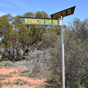 Mornington Dam Track Junction 