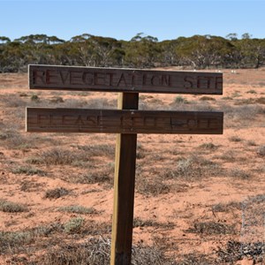 Cooltong Conservation Park Revegetation Area