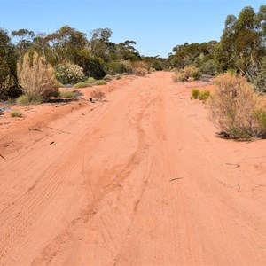 Cooltong Conservation Park Boundary Track Junction