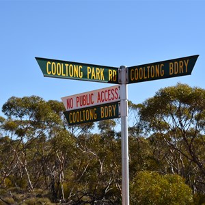 Cooltong Conservation Park Boundary Track Junction