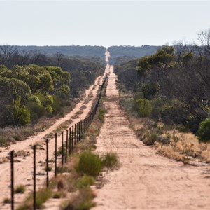 Cooltong Conservation Park Boundary Track Junction