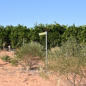 Cooltong Conservation Park Boundary Track Junction