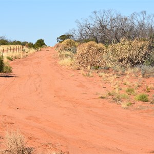 Cooltong Conservation Park Boundary Track Junction