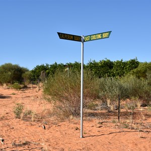 Cooltong Conservation Park Boundary Track Junction