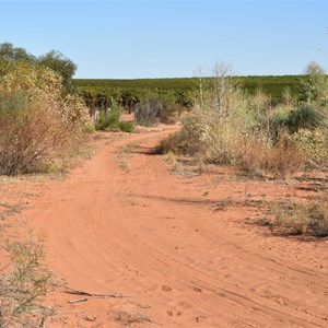 Cooltong Conservation Park Boundary Track Junction