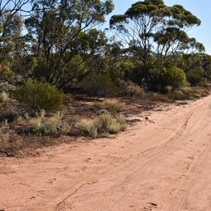 Cooltong Conservation Park Boundary Track Junction