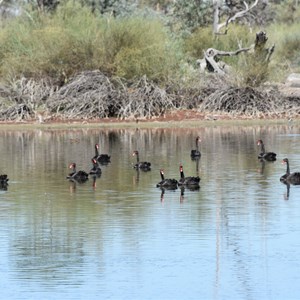 Mundic Creek