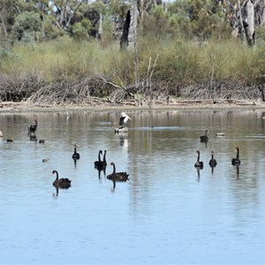 Mundic Creek