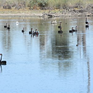 Mundic Creek