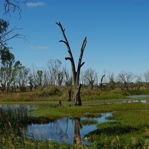 Loch Luna Game Reserve Boundary