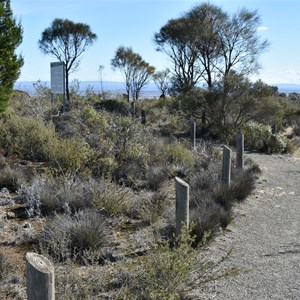 Brooks Lookout 