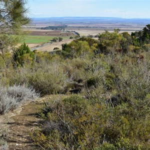 Brooks Lookout 