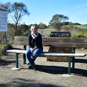 Brooks Lookout 