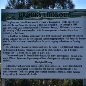 Brooks Lookout 