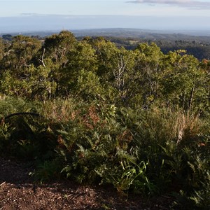 Mount Lofty Summit