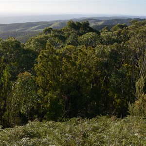 Mount Lofty Summit