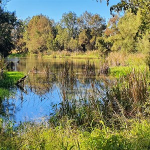 Lilydale waterhole