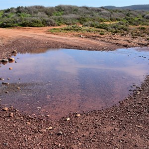 Willochra Creek