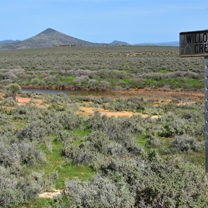 Willochra Creek