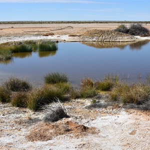 Hergott Springs