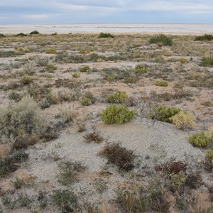 First Good Views of Lake Eyre North