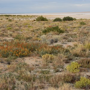 First Good Views of Lake Eyre North