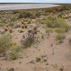 Crest On Lake Eyre Road