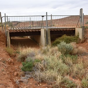 Dog Fence - Oodnadatta Track