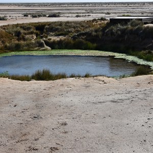 The Bubbler