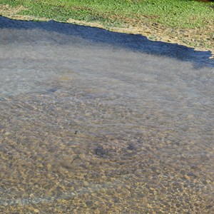 The Bubbler