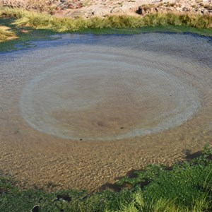 The Bubbler