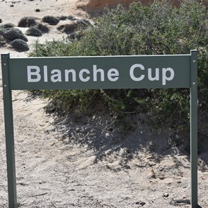 Blanche Cup