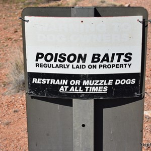 Dog Fence - Stuart Highway 