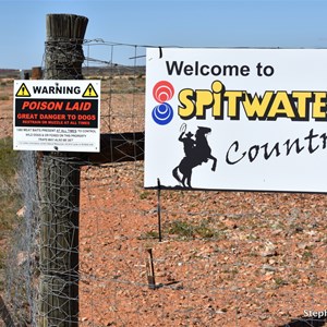 Dog Fence - Stuart Highway 