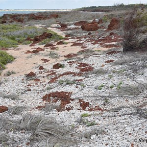 Macassan Beach