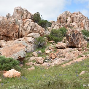 Castle Rock Lookout