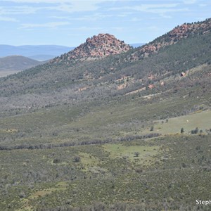 Views from Jarvis Hill Lookout 