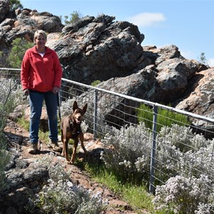 Jarvis Hill Lookout