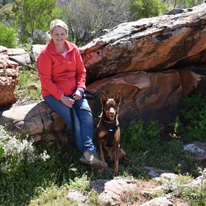 Jarvis Hill Lookout