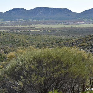 Views from Jarvis Hill Lookout 