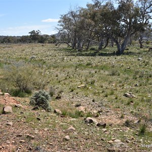 Willow Springs Creek