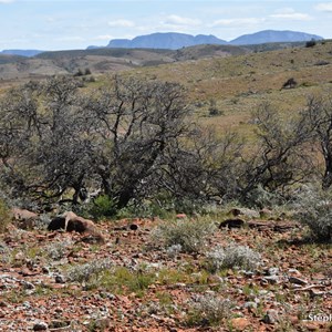 Nathan's Knob Lookout 