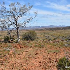 Nathan's Knob Lookout 