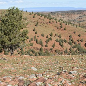 Vambata Hill Lookout