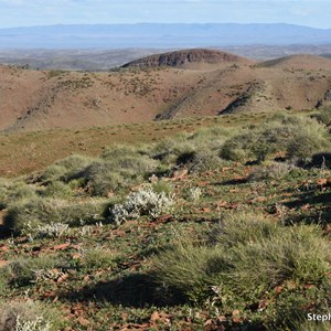 Homestead Lookout