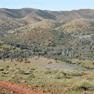 Homestead Lookout